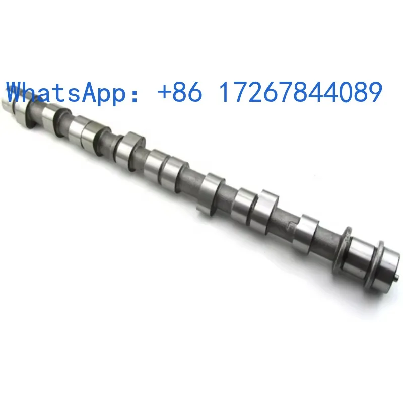 

Casting Iron Camshafts and Bearing Bushes for 4G54