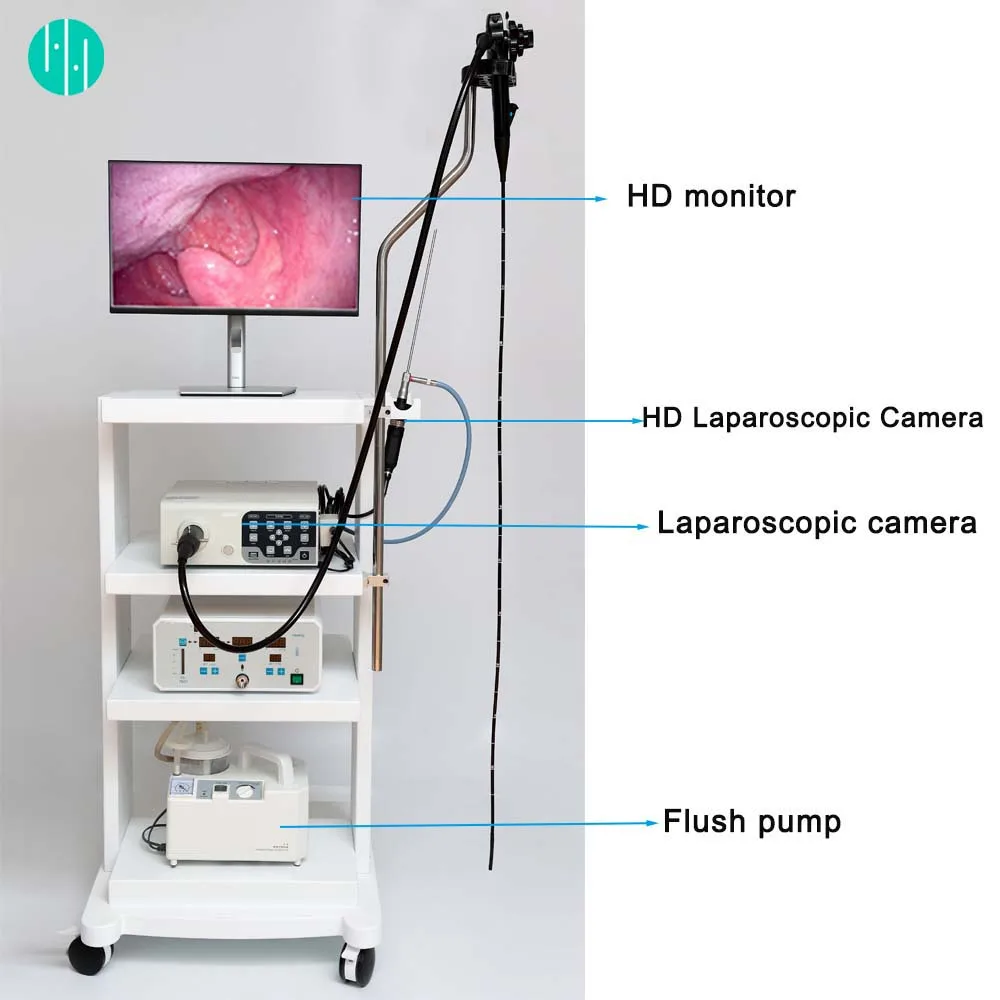 Hot Sale Video Medical Endoscopy System Laparoscope Endoscope Camera HD Complete Set