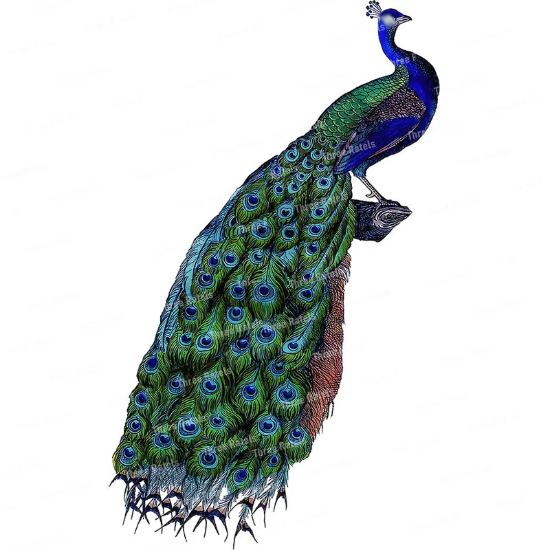 Three Ratels QN15 Beautiful Peacock Colorful Home Decoration Art Wall Decal Waterproof Bathroom Kitchen Tile Decal