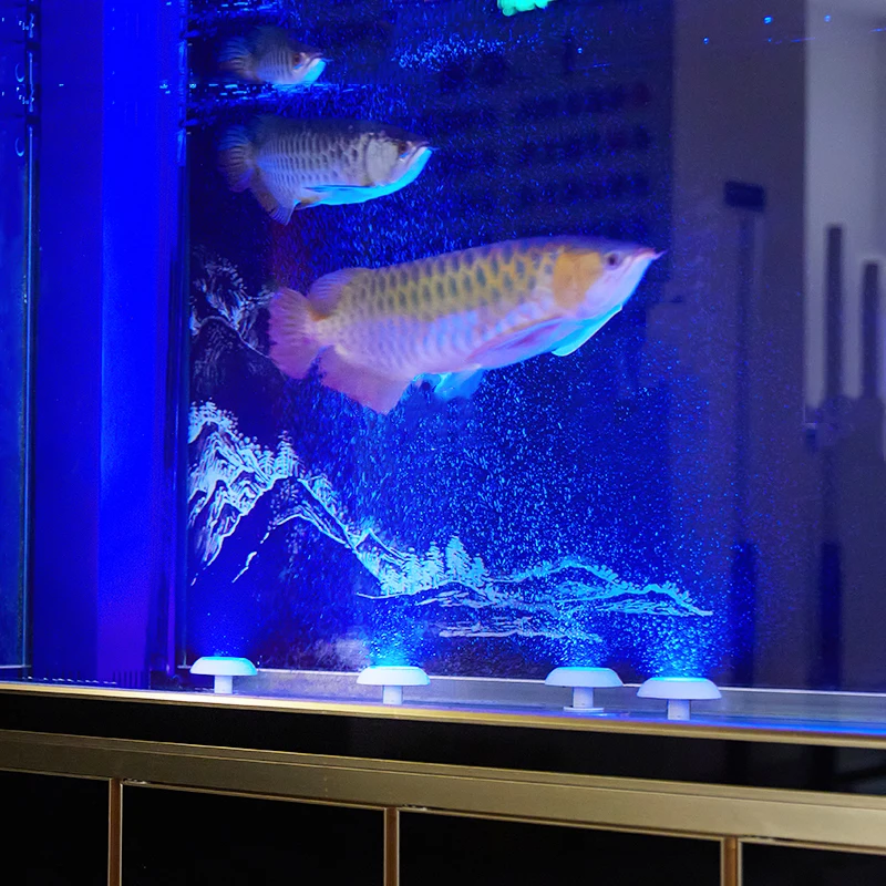 SAIYUN Pool Light with EU/US Plug IP68 Waterproof Small Size White Round Underwater RGB Multicolor Swimming Bath Spa Lamp