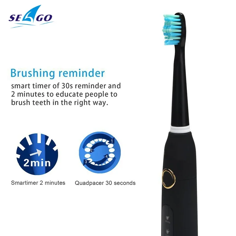 Sonic Electric Toothbrush SG-507 USB Rechargeable Timer Brush - Replacement Brush Heads/Box