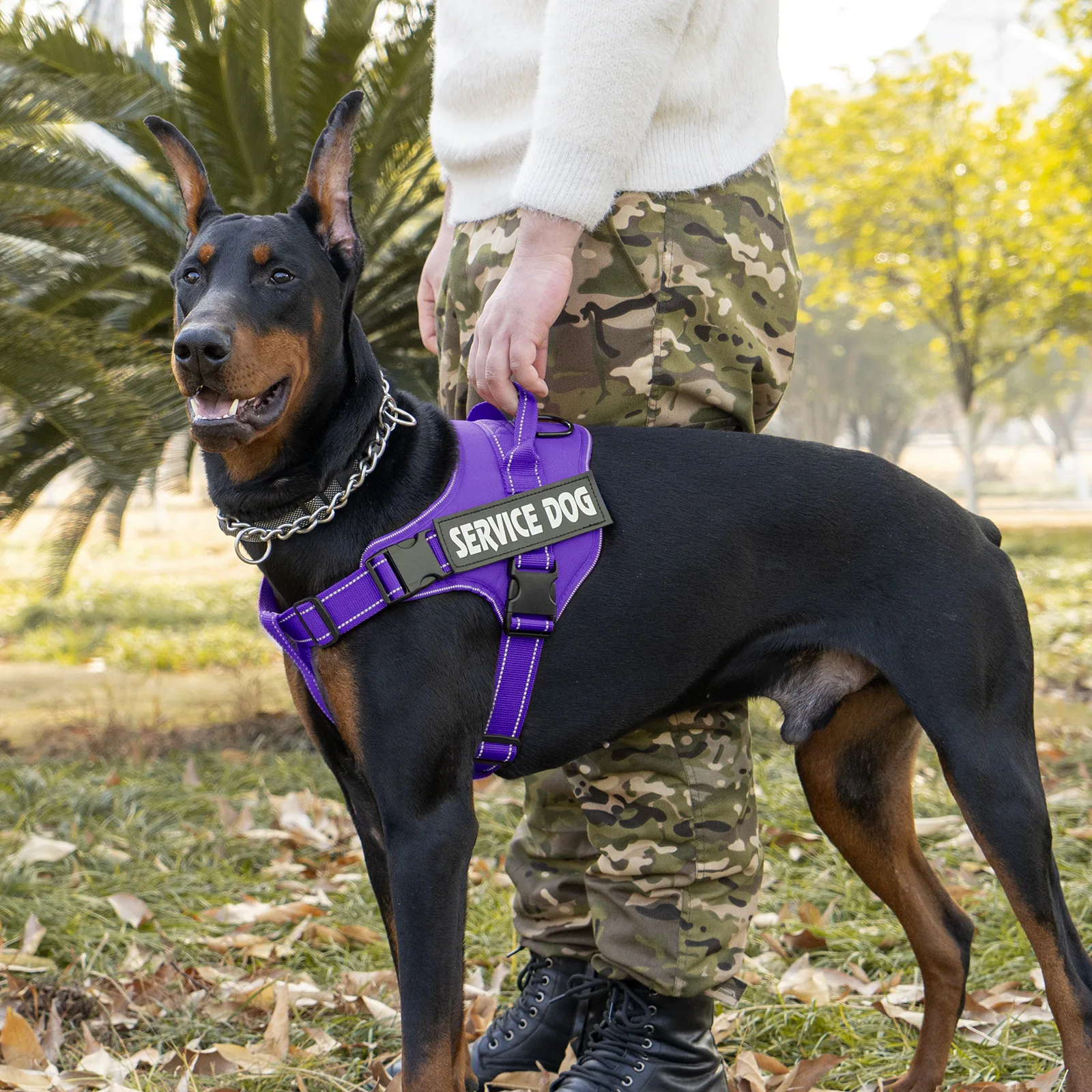 

Large dog harness with handle Explosion-proof dog harness Easy to put on and take off Fashionable colors dog accessories