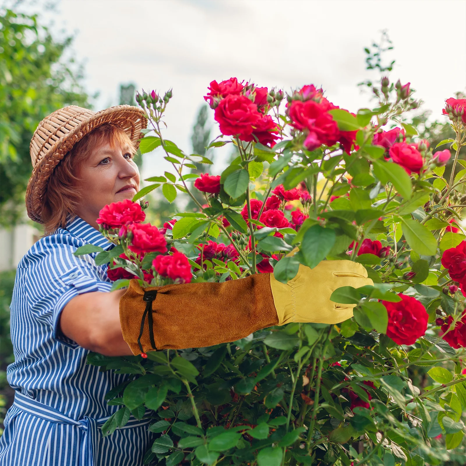 JOISIV Professional Gardening Gloves: Thorn-proof, cut-resistant, with glove clip, adjustable cuff, breathable leather, forearm