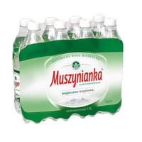 Muszyna plus Natural mineral water highly mineralized low-saturated CO2 0,6 L x 8 pieces