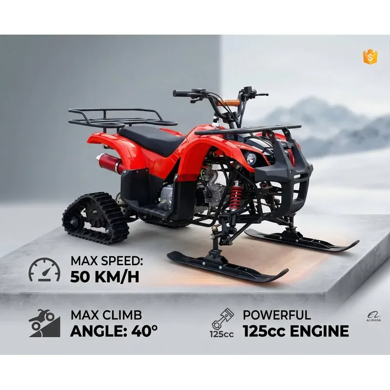 Motorcycle Snow Track 125CC 4 Stroke Quad Bike Four-wheel Sled Beach Ice Snow Quad Vehicle Snow Field Rental Off-road