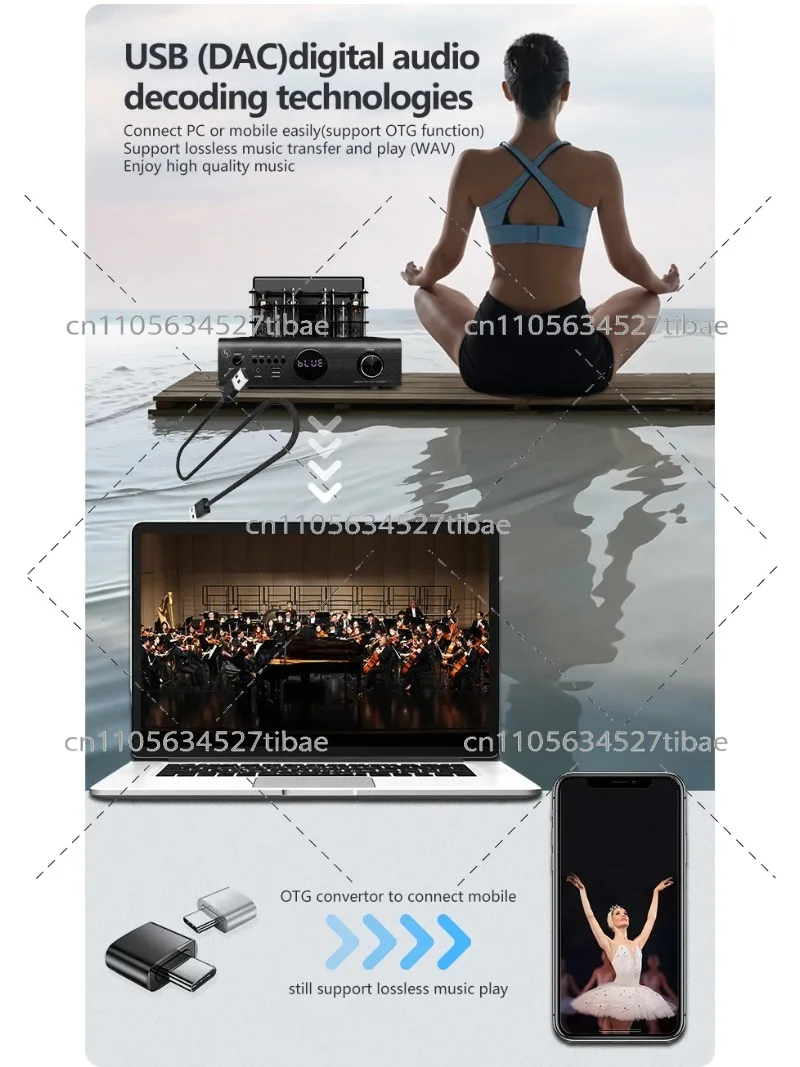 New  AV-2080R BT5.0 Hybrid 6 Tubes Professional Class D 200W RMS Audio Power Amplifier Active Subwoofer Output for Home