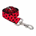 Red ladybug Leash