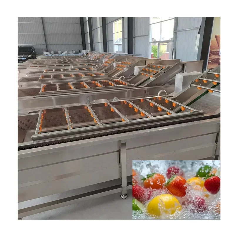 Customizable Bubble Washing Machine for Fruits and Vegetables | Durable & Easy to Maintain