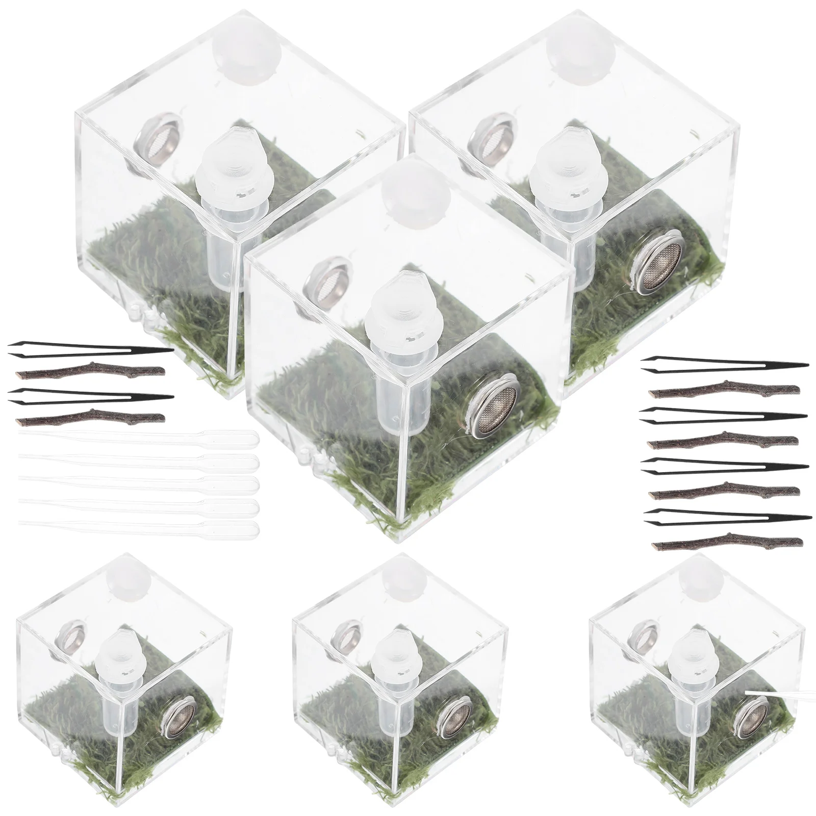 2 Pack Jumping Spider Enclosure Box Transparent Acrylic Insect Feeding Case Ventilation Hole Moisture Resistant Reptile