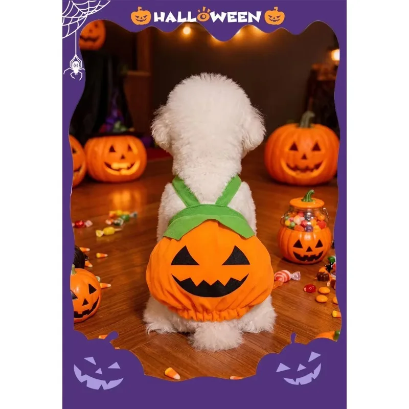 Lustiges Halloween-Kürbis-Haustier-Overall-Kostüm, Cosplay-Outfit, Kürbis-Kostüm für Hunde und Katzen, Feiertagsparty-Dekoration – Detail 1
