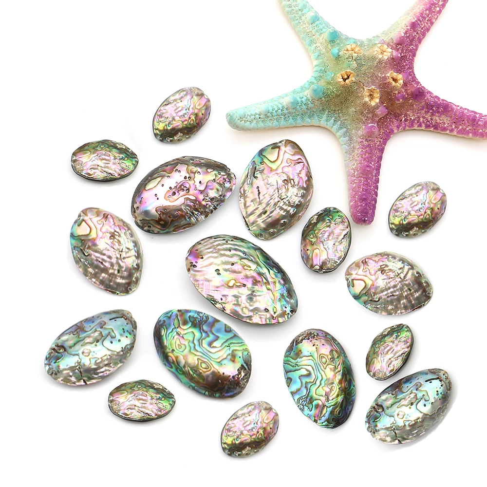 

Natural Rainbow Abalone Shell Loose Beads Charms Fashion Jewelry Making DIY Necklace Earrings Bracelet Keychain Accessories