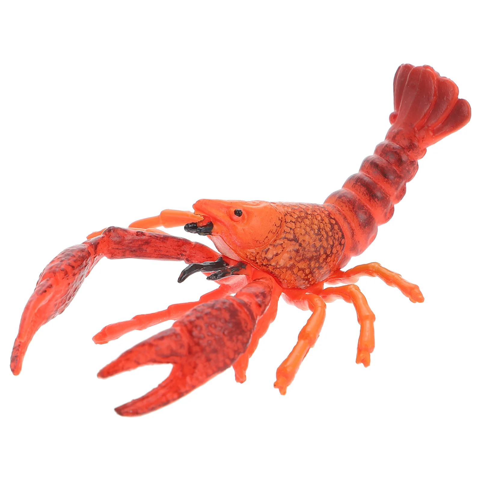 

Lobster Model Toy Learn about Educational Plaything Realistic Models Puzzle Wear Resistant Plastic Simulation Decoration