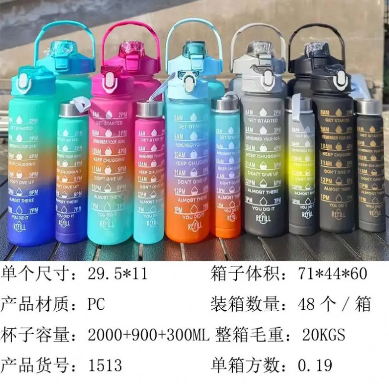 مصنع الجملة 2 قطعة 3 في 1 4 في 1 Botella Agua Alone 800 مل 2L 300 مل Termos مجموعة الصالة الرياضية مع القش