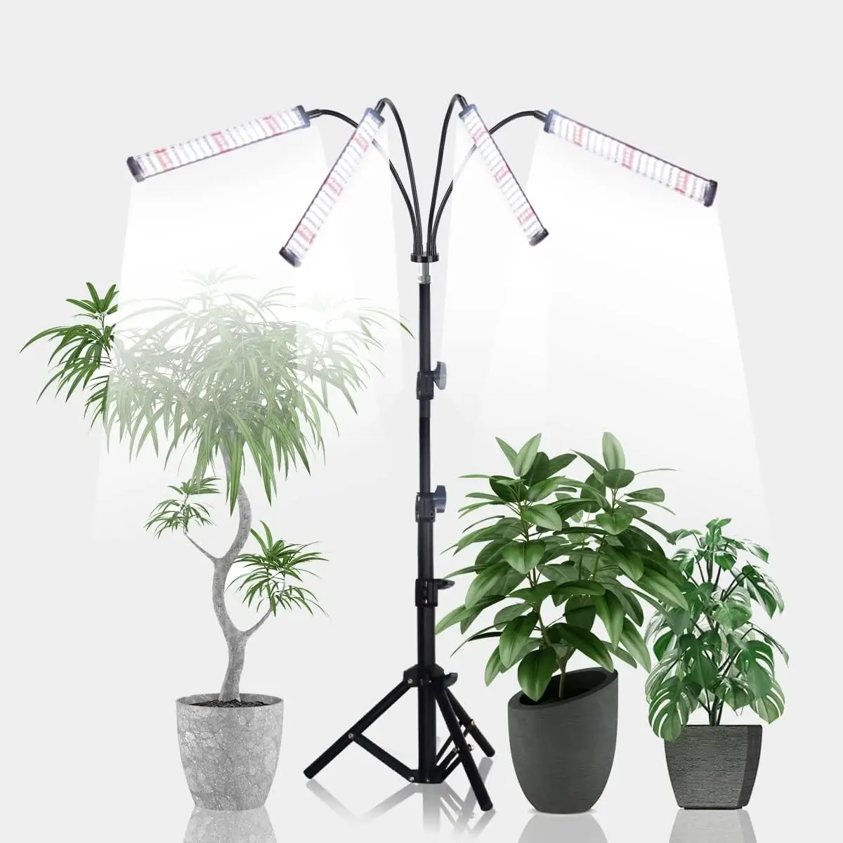 

200W Full Spectrum Grow Light with Adjustable Stand, Auto Timer & 5 Dimmable Levels for Indoor Plants