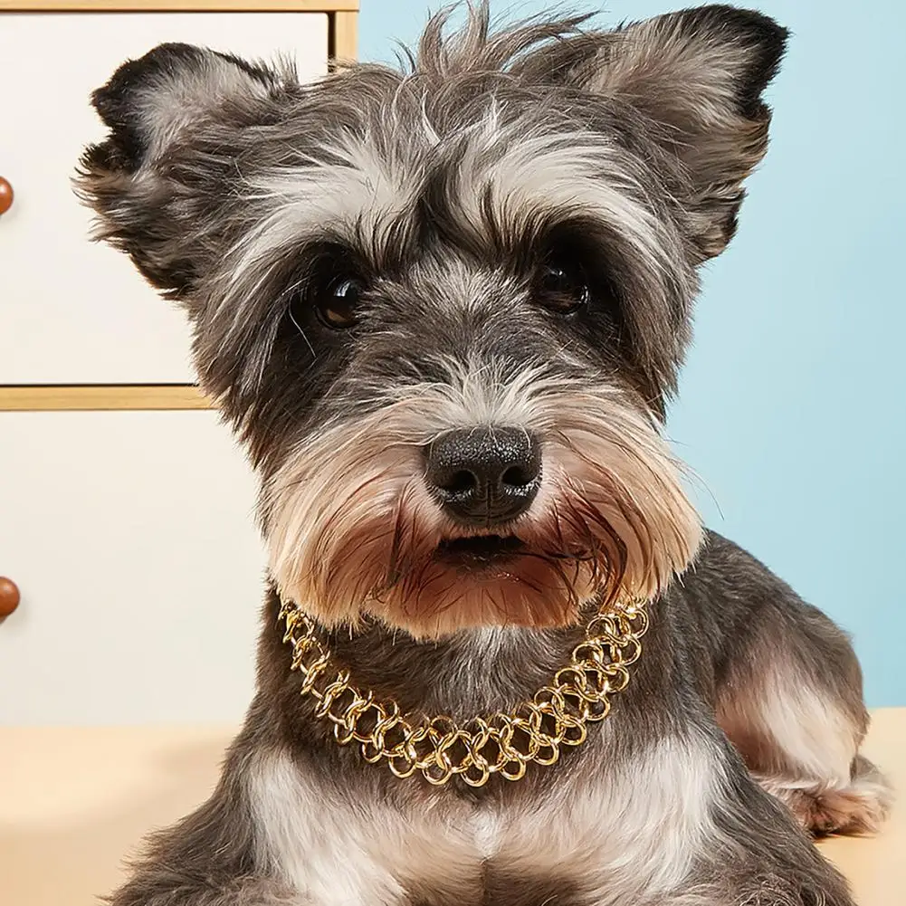 

Pet Necklace Fashion Jewelry Exquisite Party Dress Up Golden Color Cute Schnauzer Pomeranian Collar Cat Necklace Pet Accessories