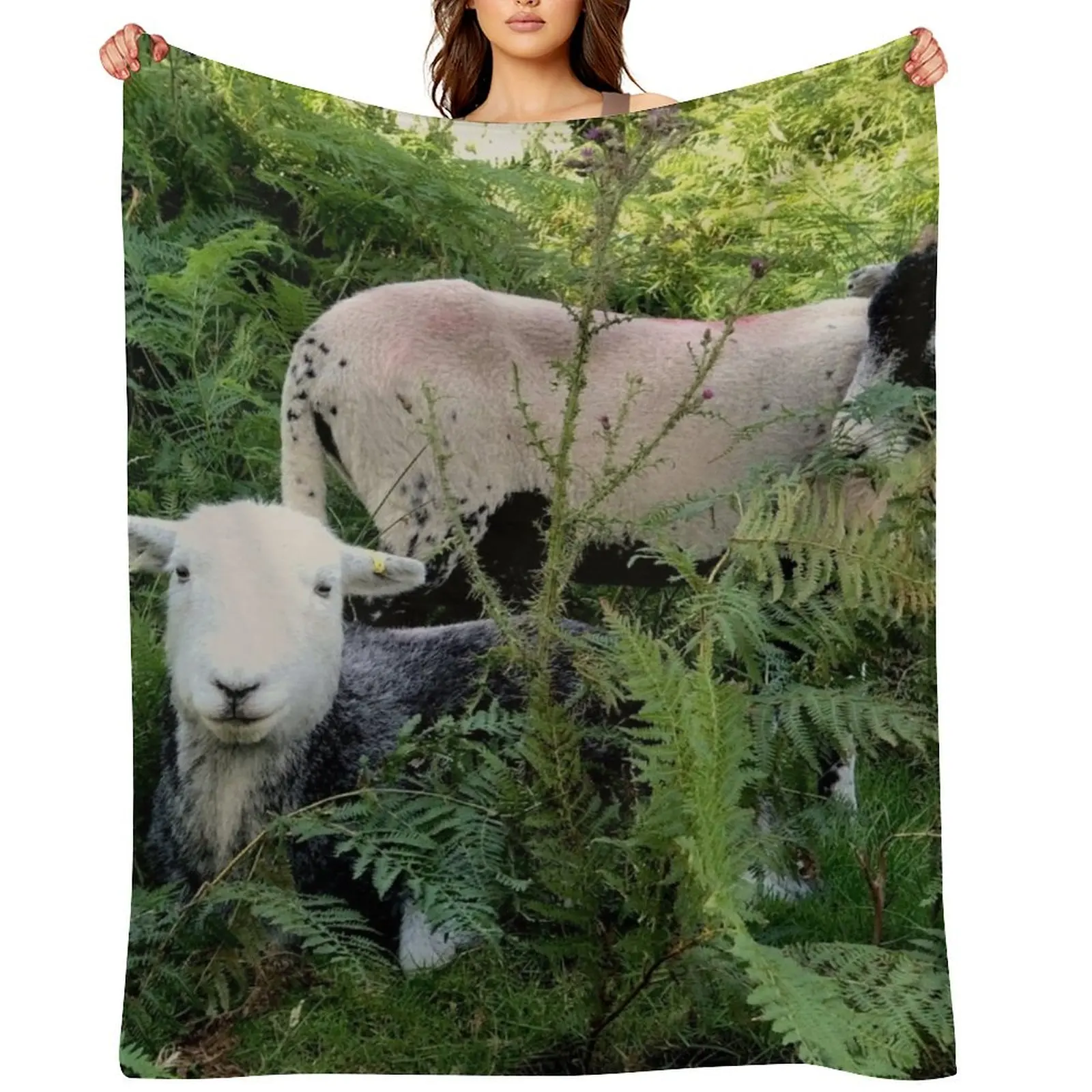 

Lake District herdy sheep in laying in ferns Throw Blanket Comforter for sofa for winter Decorative Throw Blankets