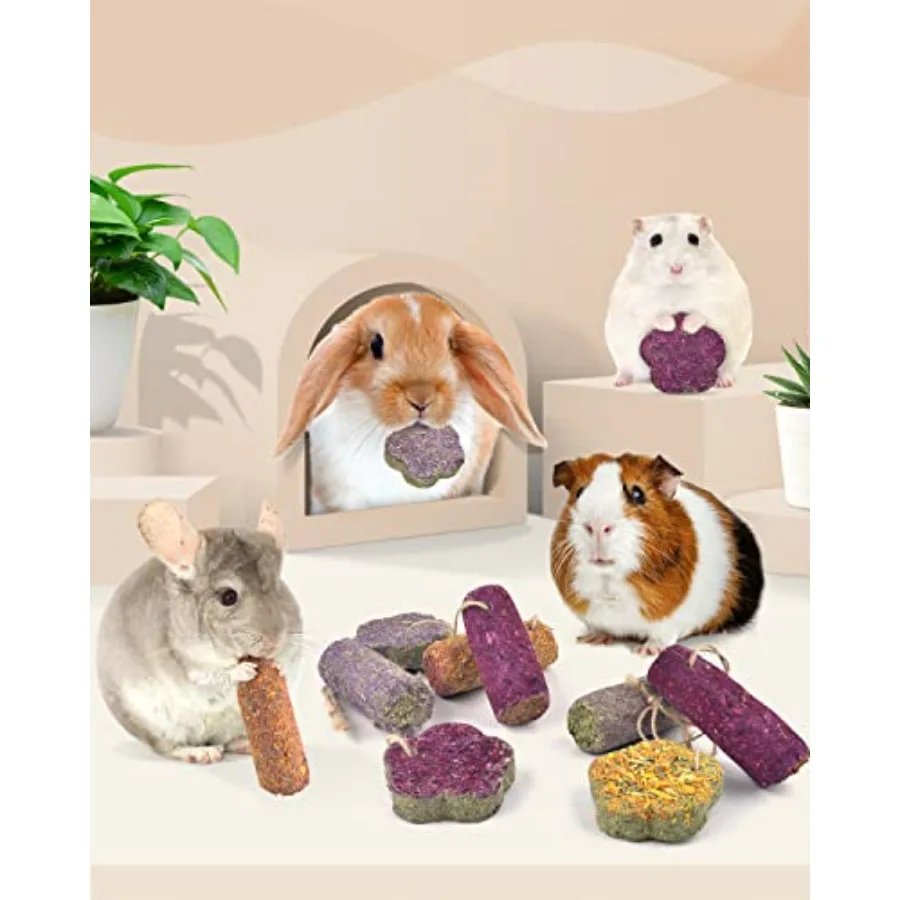 12 قطعة أعواد مضغ أرنب معلقة عصي المضغ والكعك مع تيموثي القش الجزرة الفراولة علاج للأرنب شينشيلا خنزير غينيا