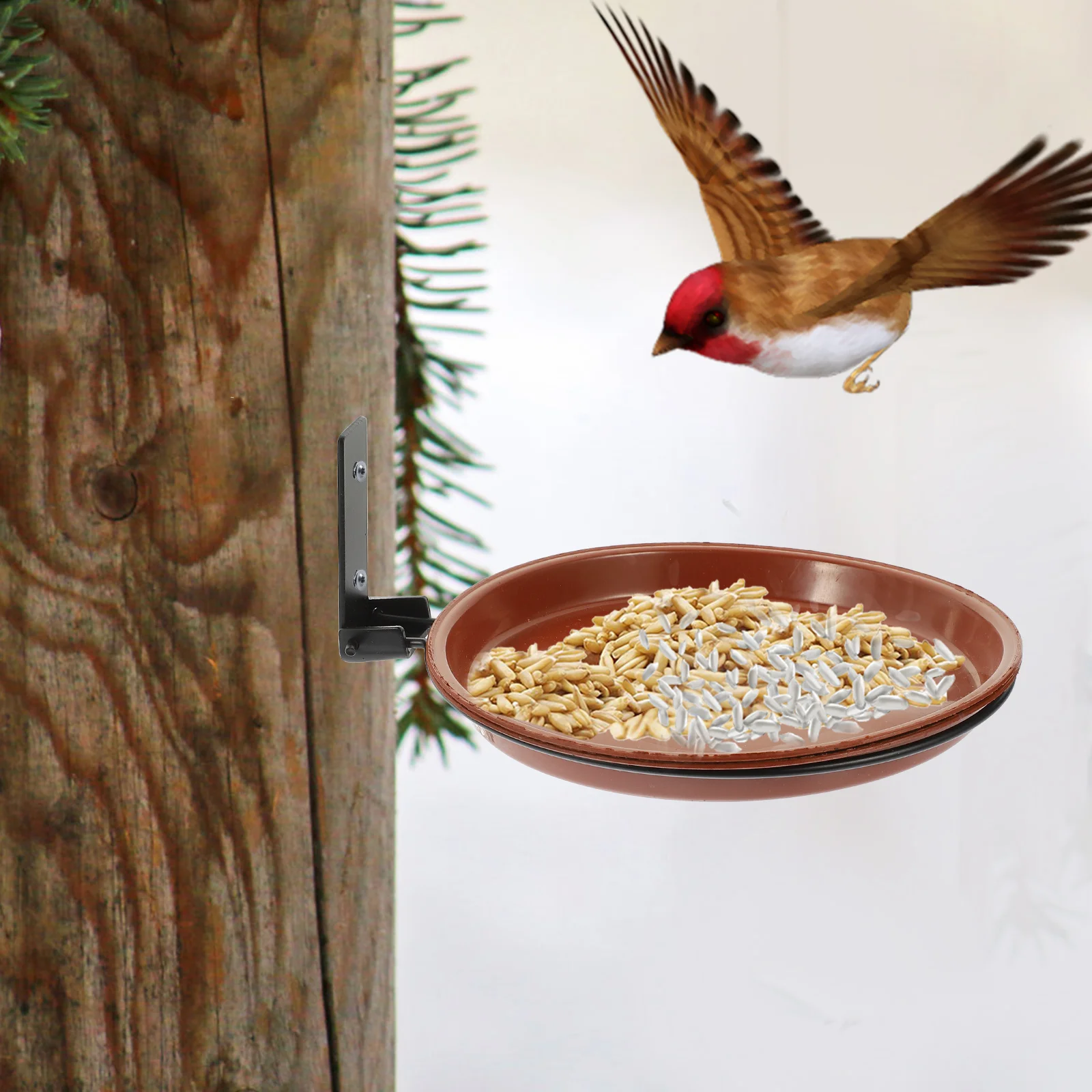 

1 set Garden Hanging Feeder Set Durable Plastic Tray Hanging Bird Feeder Mounted Outdoor Decorative Attract Birds