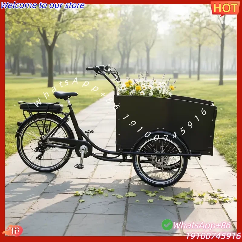 2026Hot Polish Electric Cargo Bike 36V Lithium Battery 3 Wheel Tricycle Rear Carrier for Kids Goods Electric Cargo Bike