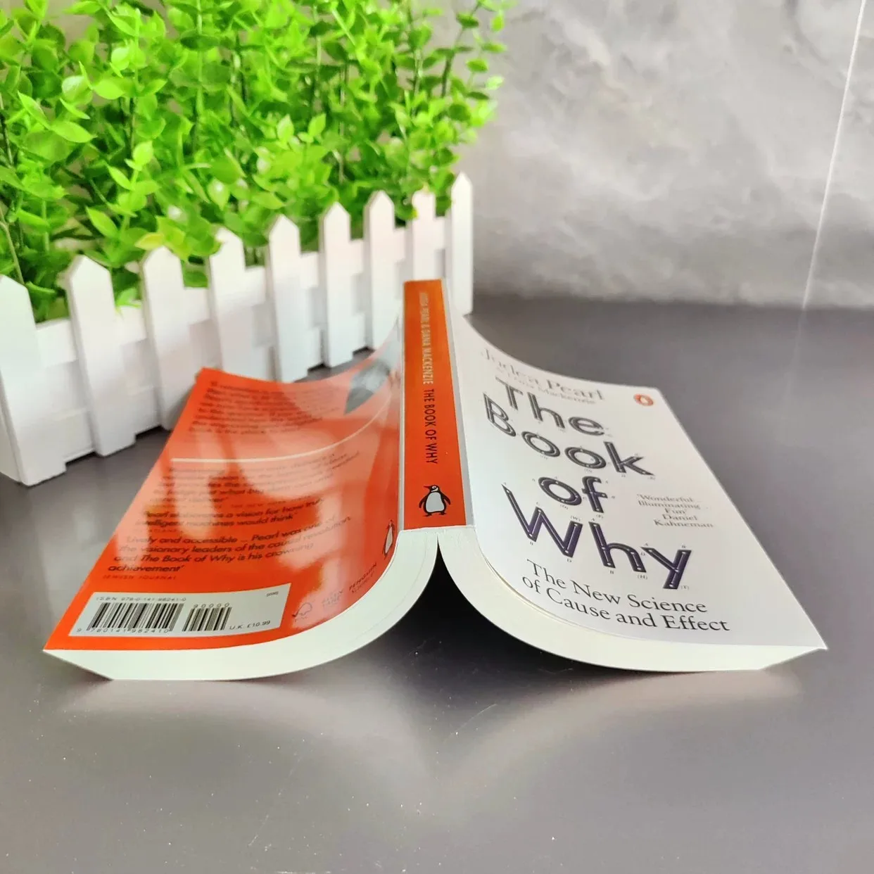 كتاب ماذا الكمثرى من يهوديا لماذا جائزة تورينغ للعلوم الجديدة للعلاقات السببية #4