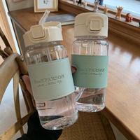Portable Water Bottle with Straw Leak-proof Plastic Waterbottle Drinking Juice Milk Coffee Cup for School Kids Drinkware Gifts