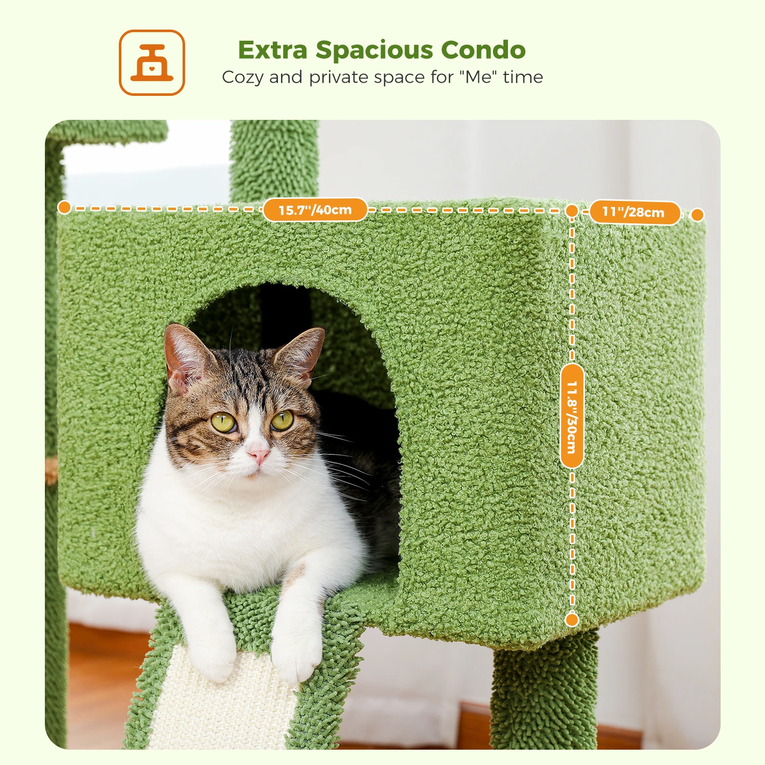 Imagem -06 - Árvore do Gato do Cacto com Grande Condomínio Hammock Cat Tower Arranhando Post Raspador Interior Gatos Cama Kitten House Pet Cat Toys