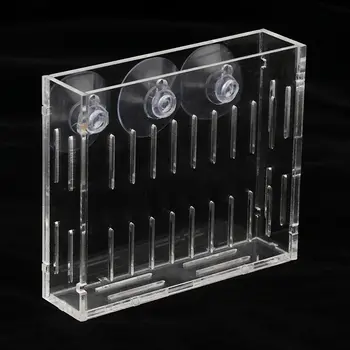 12 最佳銷售 水族箱種子 - №6