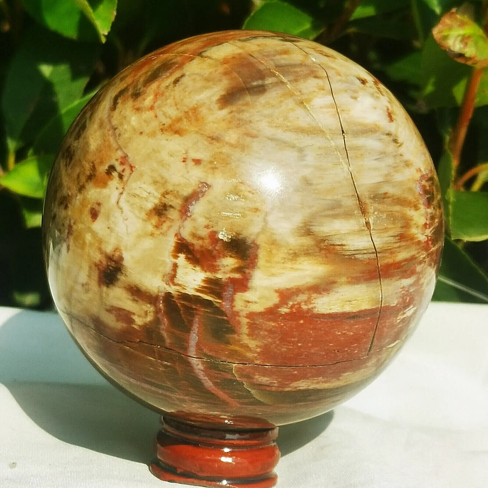 Natural Madagascar Petrified Wood Ball Polishing Quartz Crystals Ball Healing Reiki Energy Decoration