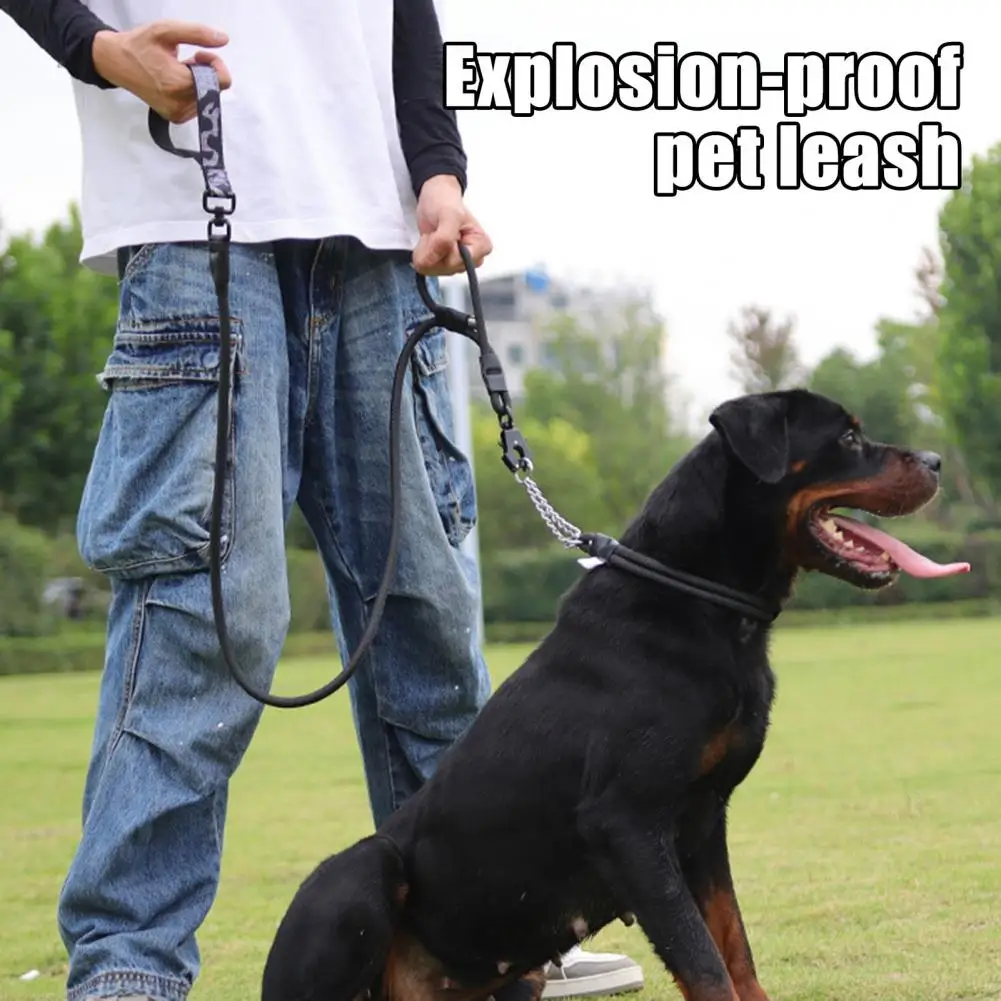 

4.7ft Heavy Duty Dog Leash Dual Handle Nylon Rope Leash No-Pull Pet Outdoor Walking Training Lead for Small Medium Large Dogs