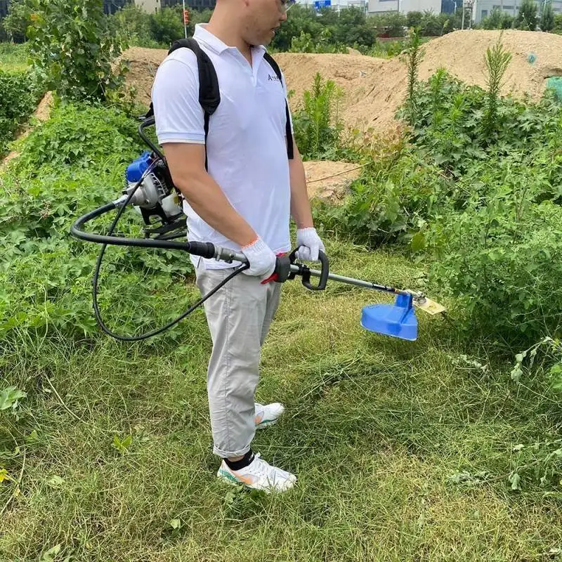 Landwirtschaftsausrüstung Garten Unkrautkehrmaschine Rasentrimmer Rucksack Freischneider