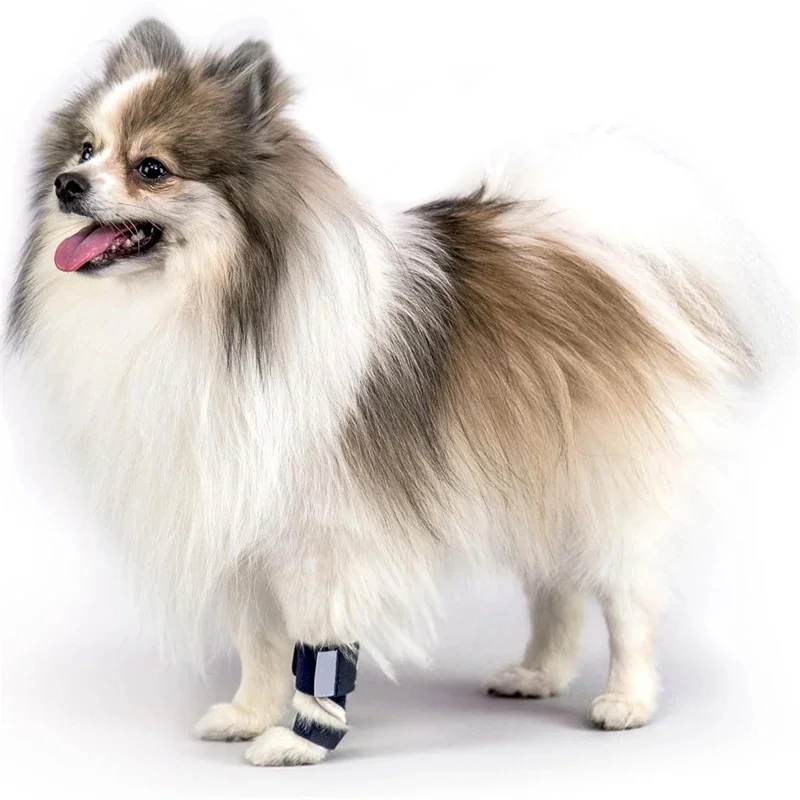 Image of Hund Vordere Bein Brace Schiene Karpaltunnelsyndrom Hyperextension Hund Brace Unterstützung Für Behinderte Verletzte Kleine Hund Katze Frakturen Verstauchungen Liefert