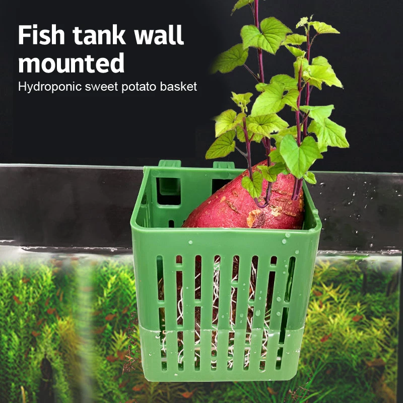 Fish Tank Aquaponic Plants Planting Basket Hanging Aquarium Plant Stand Plastic Aquarium Hooks Planting Cup Fish Isolation Box