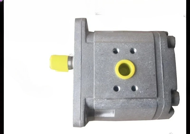 فرنسا استيراد مضخة تروس HPI P1BAN1004CL10B01N/C5074932 P1BN1005FL مضخة زيت