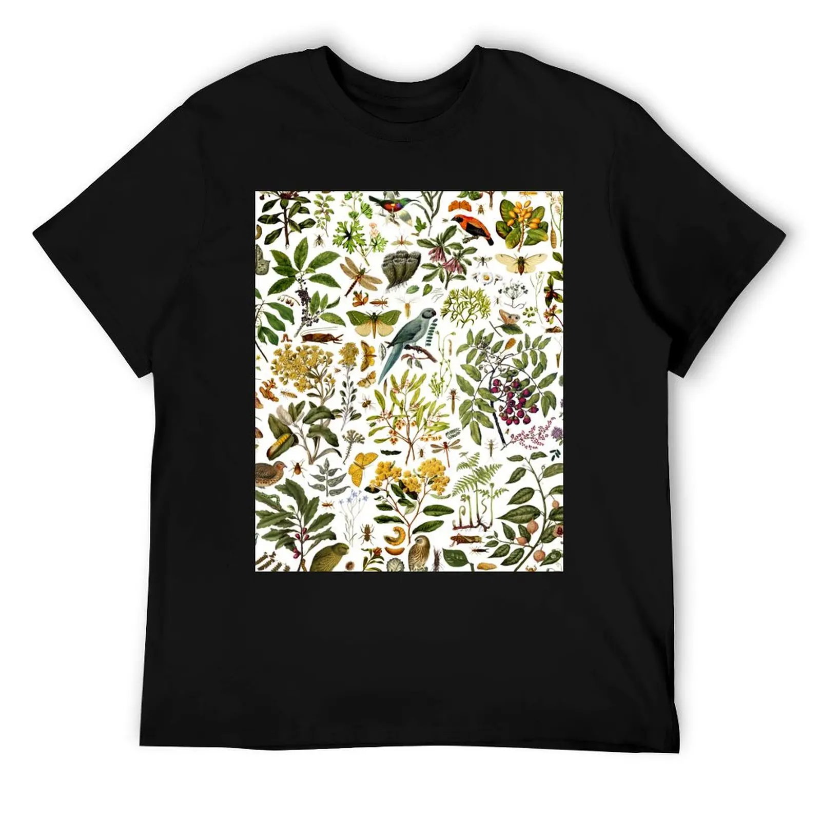 

Новая Зеландия, футболка с биологией, мужская роскошная футболка для мужчин, хлопковая забавная футболка для мужчин, футболка из 100-процентного хлопка