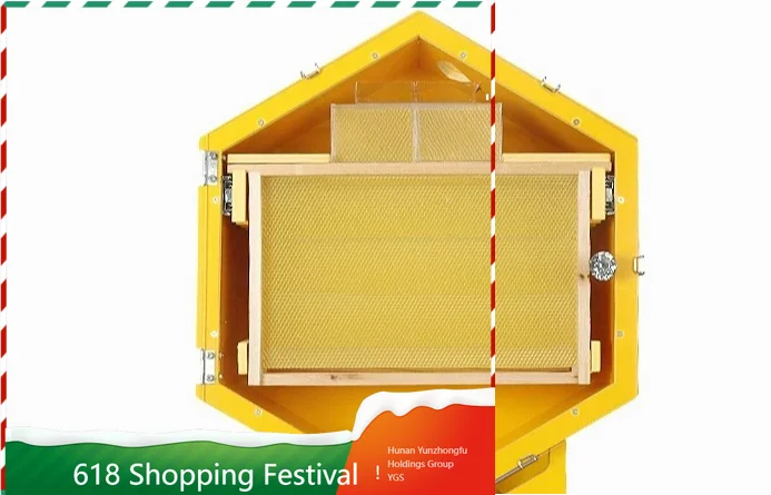 Limited Wall Mounted Transparent Beehive Indoor Ornamental Beekeeping Container For Hobbyist Bee Raising Decoration Use