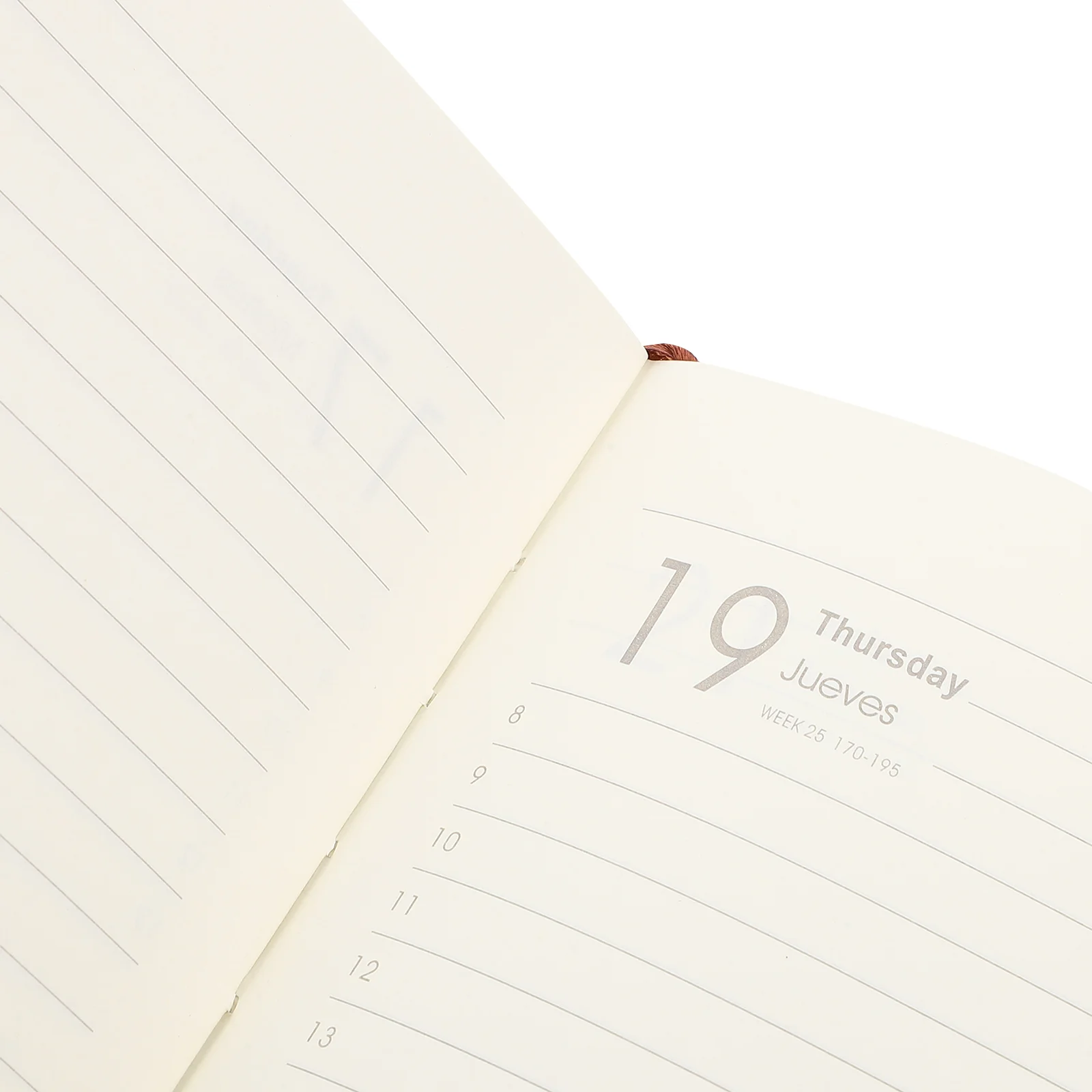 2025 Schedule Aesthetic Daily Planner Academic Monthly Cute Weekly Book School Notebook