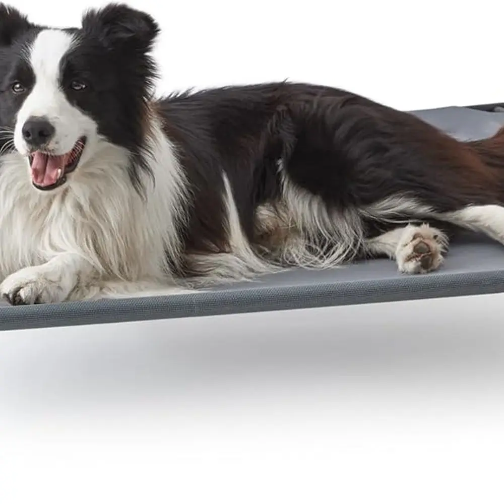 

Приподнятая охлаждающая кровать для больших собак, портативная приподнятая кроватка для собак и кошек в помещении и на открытом воздухе, прочная летняя рама с дышащим покрытием