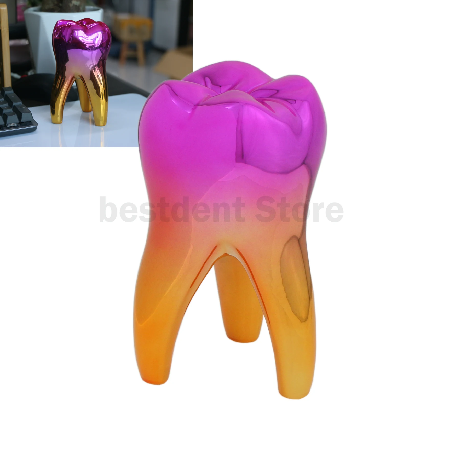 Dental Tooth Model Dentistry Clinic Decoration Artware Gift Teaching Study