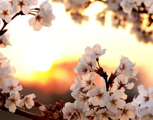 

Aluminum Alloy Utility Trailer Car Cargo Carrier for 1/18 TRX4M 1/24 SC RC Car