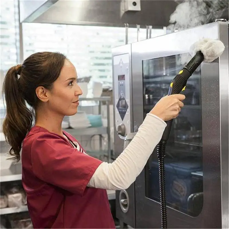 SGV 6/5 Import High-temperature Steam Cleaner