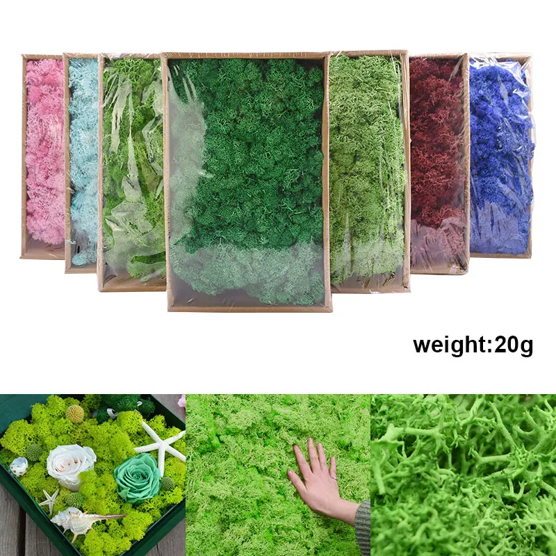 

20g High Quality Artificial Moss Grass Green Plant Micro Landscape Decor Mini Fairy Garden Fake Moss Grass Wall Diy Accessories