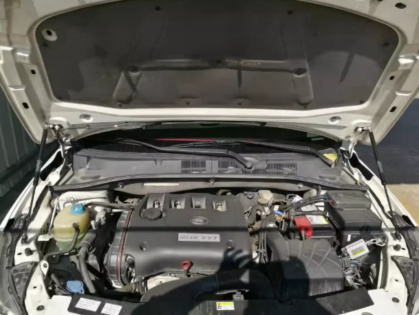 

1 комплект газовых стоек для GAC Trumpchi GA3S 2013-2019, подъемная опора переднего капота, демпфер, опорные стержни амортизатора