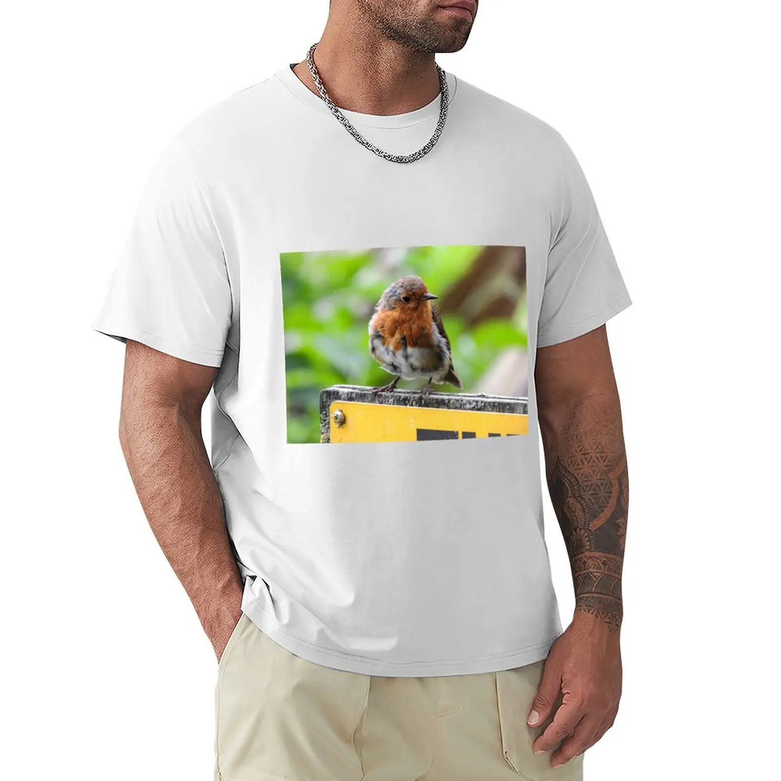 Robin on a sign T-Shirt boys animal print funnys mens graphic t-shirts anime