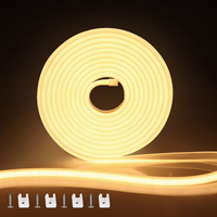 COB LED Neon Strip Light 220V 110V 288LEDs/m CRI RA90 Flexible Outdoor LED Tape With ON OFF Switch For Kitchen Garden Lighting