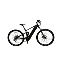 2024  Electric Mountain Bicycle Trekking Off Road MTB Bike M620 Ultra 1000W Mtb Bafang Mid Motor Ebike