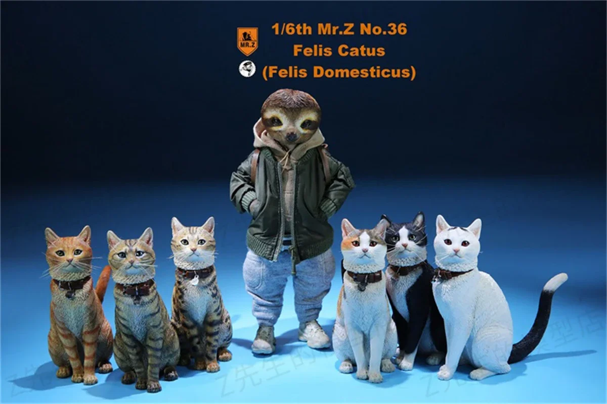 Mr.Z Studio 1:6 Cute Domestic Cat Pet Healing Figure Felidae Animal Model Toy Collector Desktop Decor Adult Decoration Gift