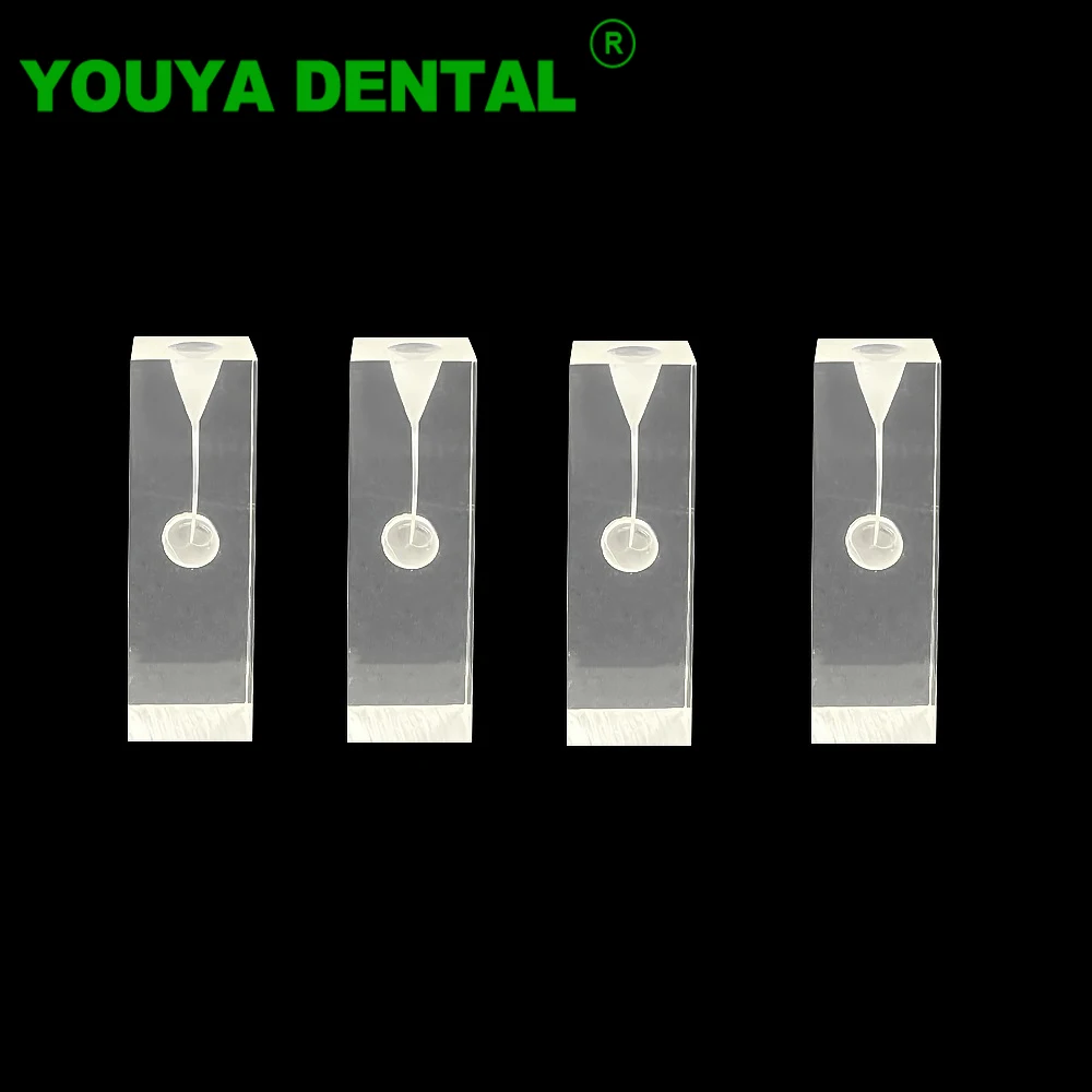 Dental Root Canal Tooth Model Endo Teeth RCT Practice Pulp Cavity Clear Endodontics Train Model Replace Teeth Dentistry Products