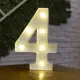 Thumbnail 27