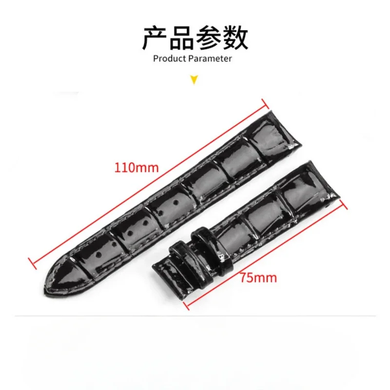 لتيسو 1853 كوتو T035 حزام ساعة من الجلد الطبيعي ساعة نسائية T035210a حزام حزام الساعات Accessories18mm