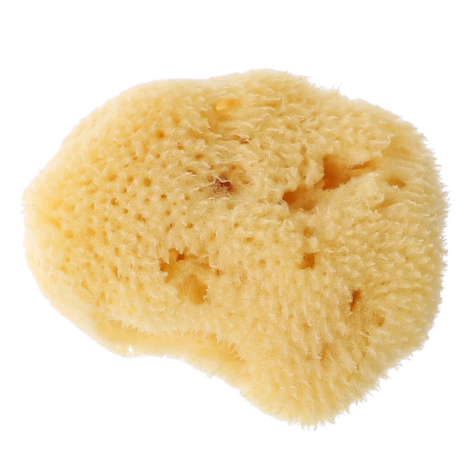 مجموعة طلاء إسفنجية بألوان مائية للمشروعات الفنية، أدوات رسم إسفنجية تعليمية ممتعة للاستخدام المنزلي والمدرسة #6